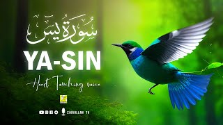 World's most beautiful recitation of Surah Yasin (Yaseen) سورة يس | Zikrullah TV