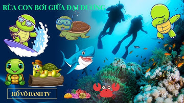Rùa con bơi giữa đại dương - Bài Hát Thiếu Nhi Vui Nhộn Cho Bé | Hổ Vô Danh TV