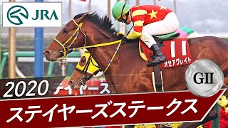 2020 Stayers Stakes (GII) | Ocea Great | JRA 