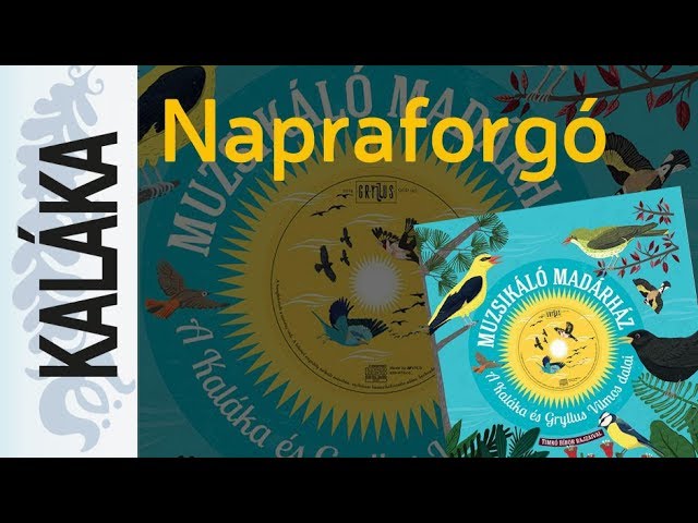 Watch Gryllus Vilmos: Napraforgó | Muzsikáló madárház - A Kaláka és Gryllus Vilmos dalai on YouTube Watch Gryllus Vilmos: Napraforgó | Muzsikáló madárház - A Kaláka és Gryllus Vilmos dalai on YouTube
