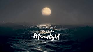 Nick Saley - Moonlight [Synthetical Records]