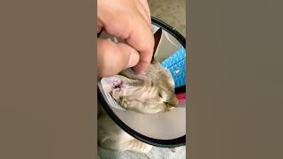 Kling me softly❤️