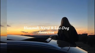 Hammali & Navai - Лепесток (Feat. Loc-Dog) Speed Up