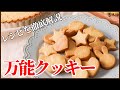 このレシピだけでクッキーマスター：万能クッキーの作り方【クッキー作りのなぜ？を徹底解説】卵＆バター無しでも作れる！？レシピの作り方