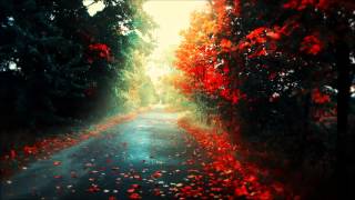 Alex H - Right in the Feels (Original Mix) Progressive House Worldwide