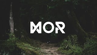Phlox - The Lost Woods