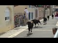 Quelques allerretour avec les vaches de lencierro de doazit