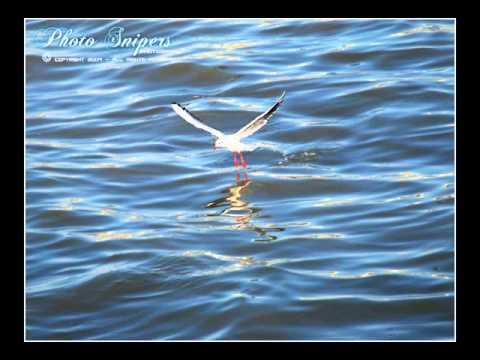 عيني على حدودك بكت 