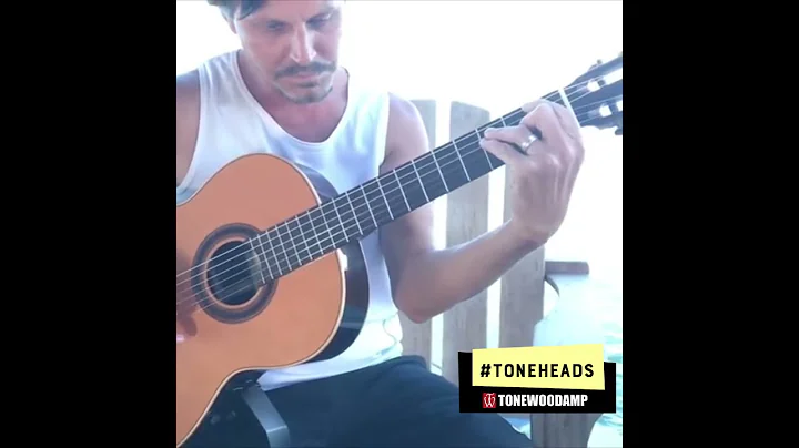 #TONEHEADS - Dale Cinski