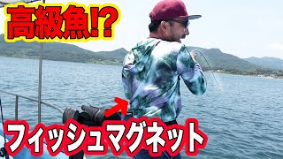 世界を釣ってきた男が釣りよかに帰ってきた!! 世界を釣ってきた男が釣りよかに帰ってきた!!