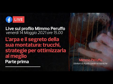 L&rsquo;arpa e il segreto della sua montatura: trucchi, strategie per ottimizzarla al meglio - Parte Prima