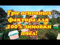 ПЧЕЛОВОД СДЕЛАЙ ЭТО ДЛЯ 100% ЗИМОВКИ ПЧЁЛ, ТРИ ОСНОВНЫХ ФАКТОРА, ПОЧЕМУ ГИБНУТ ПЧЁЛЫ.