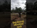word of mouth is powerfu, give them something to talk about #kanga #kangaloader #miniskidsteer