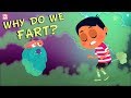 Why Do We Fart? - The Dr. Binocs Show | Best Learning Videos For Kids | Peekaboo Kidz image