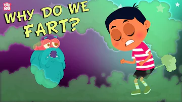 Why Do We Fart? - The Dr. Binocs Show | Best Learning Videos For Kids | Peekaboo Kidz