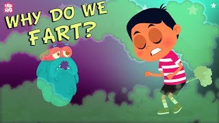 Why Do We Fart? - The Dr. Binocs Show | Best Learning Videos For Kids | Peekaboo Kidz image