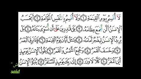 Surat Al Qiyama سورة القيامة بصوت الشيخ سعد الغامدي