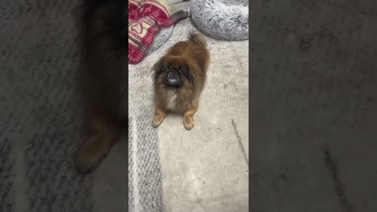 23 января 2026 г.