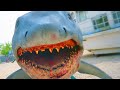 Jaws revenge shark rotting away at universal studios florida 