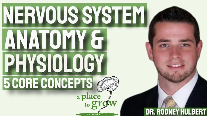 Nervous System Anatomy and Physiology (5 Core Conc...