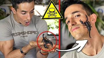 Quel est le scorpion le plus dangereux du monde ?