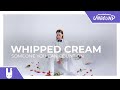 WHIPPED CREAM - Someone You Can Count On [Monstercat Remake]