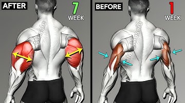 The ONLY 9  Triceps Exercises for Every Head