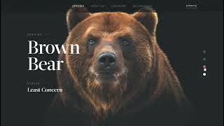 Distortion Slider - Web design