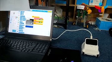 Học lập trình cùng robot codey rocky Makeblock Robot STeam Vietnam- Bài 4: Nhận dạng hình ảnh