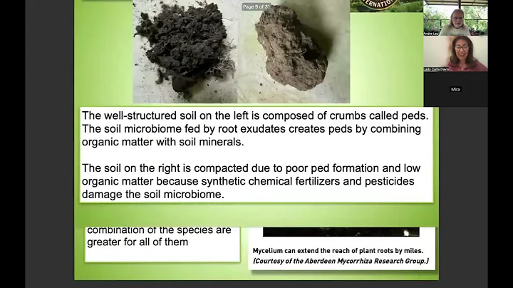 Regenerative Agriculture's Andre Leu - Pesticides and the Brain  | GEP 2025