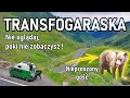 Trasa Transfogarska starym kamperem. UWAGA Spojler !!! Nie oglądaj przed zwiedzaniem (vlog 115)