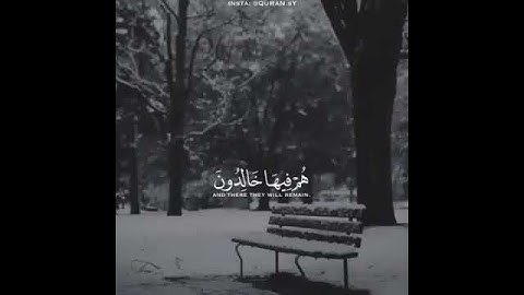 بعيدا عن هموم الحياه تلاوه جميله بصوت مؤثر