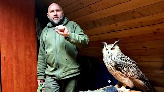 Visiting eagle owl Varvara and @Sergey Yartsev. The owl is outraged by our familiarity