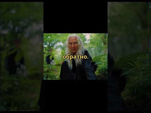 Пробудили древних Богов | #shorts #кино #сериалы #фильмы #ужасы