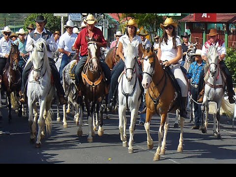 Desfile de caballos - YouTube