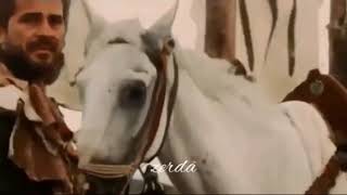 Selda Bagcan Don Gel Birtanem Resimi