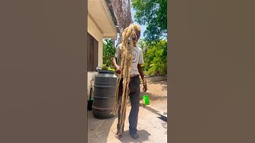 101 year old Jamaican Rastafarian #bobmarley #rastafari #rasta #music #africa #reggaeicon #rasta