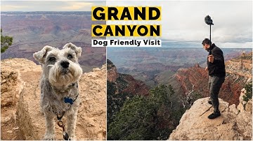 Grand Canyon National Park With Dogs | South Rim Trail | Road Trip ep  6
