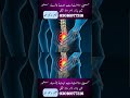 Sciatica Pain Explained | وجوہات اور علامات اور علاج اس ویڈیو میں #sciaticpain #youtube #foryou