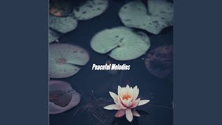 Spacious Moods for Creative Inspirations