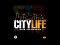 city life riddim mix 2010 reggae