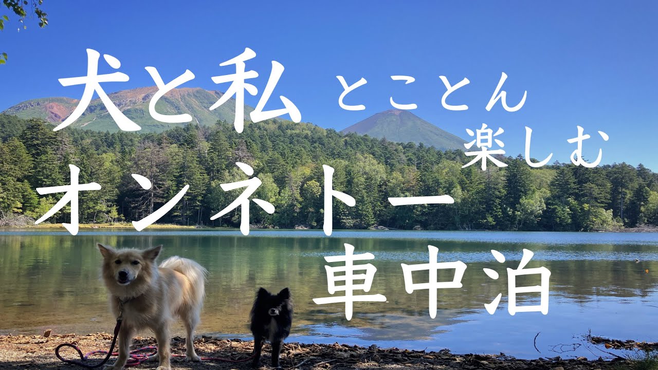 とことん！オンネトー 車中泊・野中温泉を楽しんだ2日間！900草原〜霧多布岬へ〜道東カヤック＆隙間バイト旅【北海道犬連れ車中泊一人旅・道東10泊11日旅④】