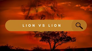 Why Lions Target Throats of Prey But Not Each Other?