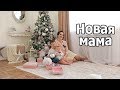 VLOG: Новогодняя фотостудия / Подготовка к новому году