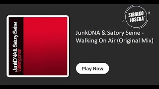 JunkDNA &amp; Satory Seine -  Walking On Air (Original Mix)