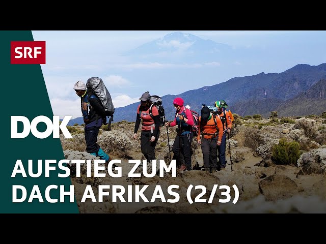 Abenteuer Kilimandscharo – Auf Expedition in Tansania (2/3) | DOK | SRF