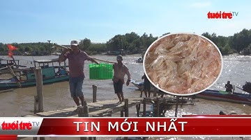 ⚡ NÓNG | Ngư dân Bạc Liêu trúng mùa ruốc, kiếm tiền triệu mỗi ngày