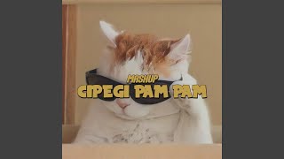 Mashup Cipegi Pam (Selowed   Reverb)