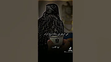 ابيات شعر عن الصديق الكفو 