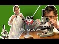 Microscopy  how to use a microscope  gcse science required practical